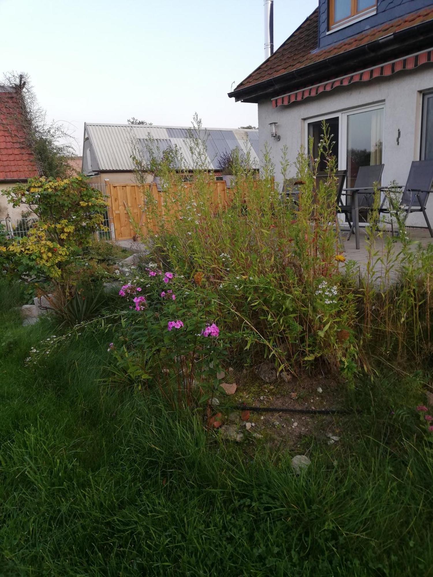 Ferienwohnung Wittenburg Dış mekan fotoğraf